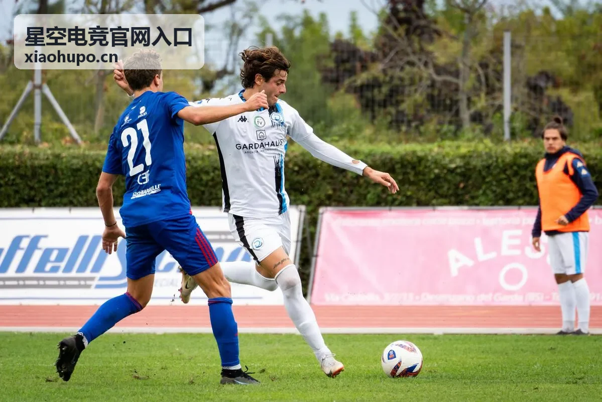 星空电竞官网入口战队数据速览栏目封面